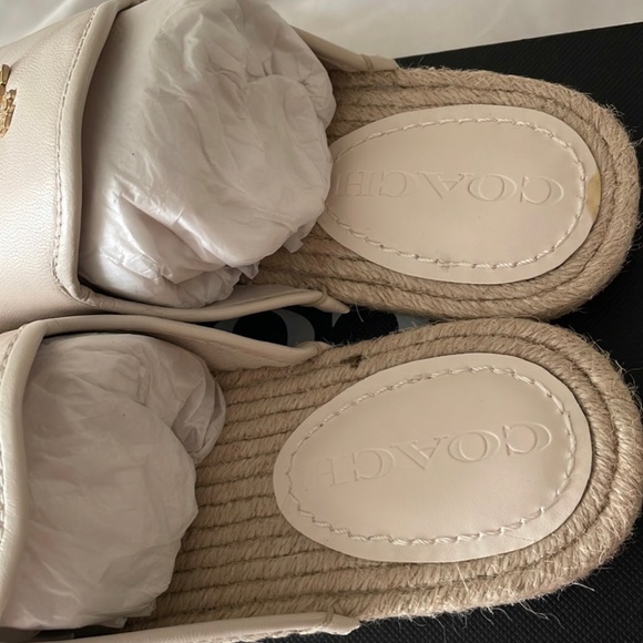 COPY - Coach slides - Picture 4 of 7